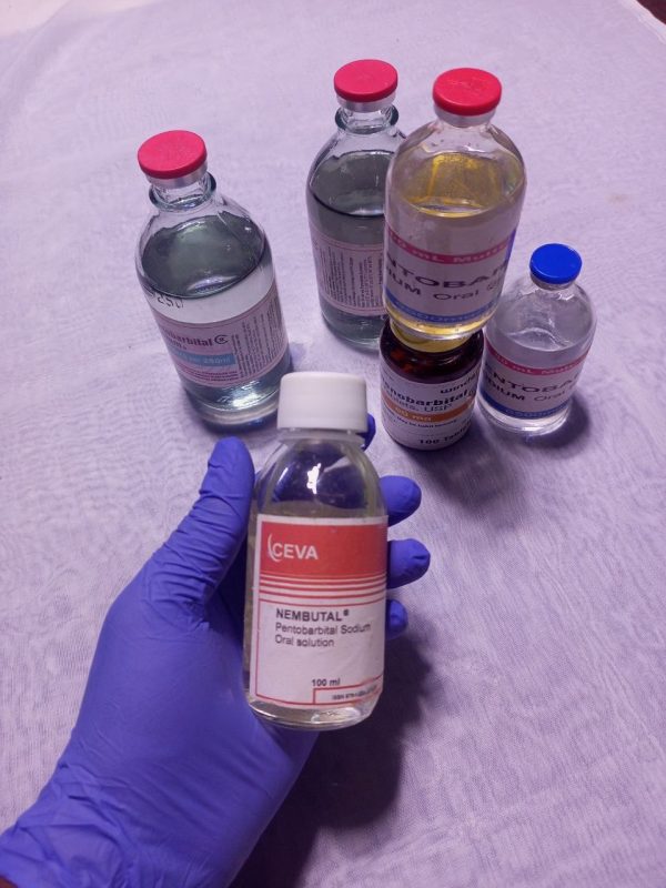 pentobarbital sodico